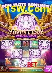Experiência VIP 876 Bet
